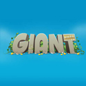 Giant Bingo